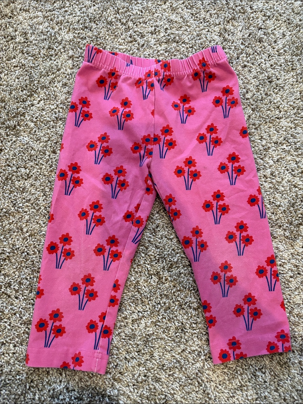 Hanna Andersson Pink Floral Leggings